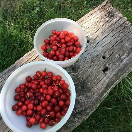 De Cerisier Vakantiehuis Saint-Nicolas-de-la-Grave